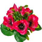 Anemona csokor 5 virágos rózsaszín 21cm