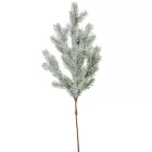 Fenyő ág flokkolt 59cm