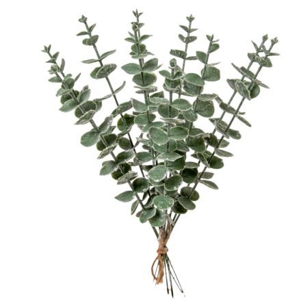Eukaliptusz köteg hamvas 12ágú 35cm