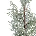 Tuja ág flokkolt 60cm