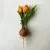 Hagymás tulipán - narancs 