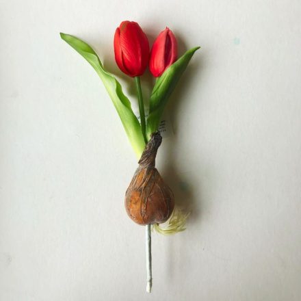 Hagymás tulipán - pink
