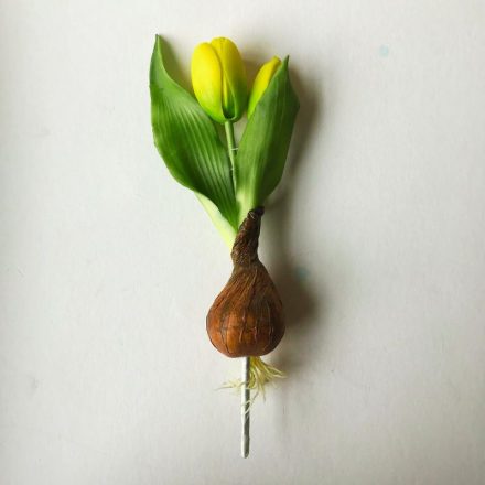Hagymás tulipán - sárga
