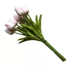 Tulipán csokor - fehér - rózsaszín