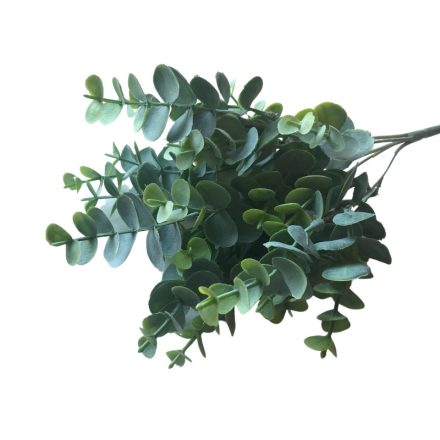 Eukaliptus bokor - zöld