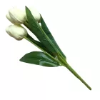 Tulipán csokor - krém