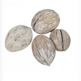 Termés csomag - Mintola zuzmarás Termés csomag - Mintola zuzmarás