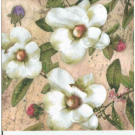 Szalvéta - Trois Magnolias Blanc