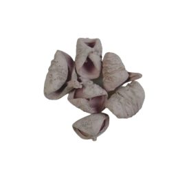 Termés csomag - Lila lali Termés csomag - Lila lali