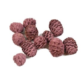 Termés csomag - Meridianum - szeder Termés csomag - Meridianum - szeder