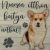 Fa tábla - Corgi