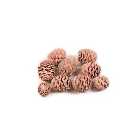 Termés csomag - Meridianum - natúr Termés csomag - Meridianum - natúr