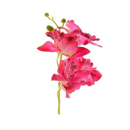 Selyemvirág - Pink orchidea virágzat